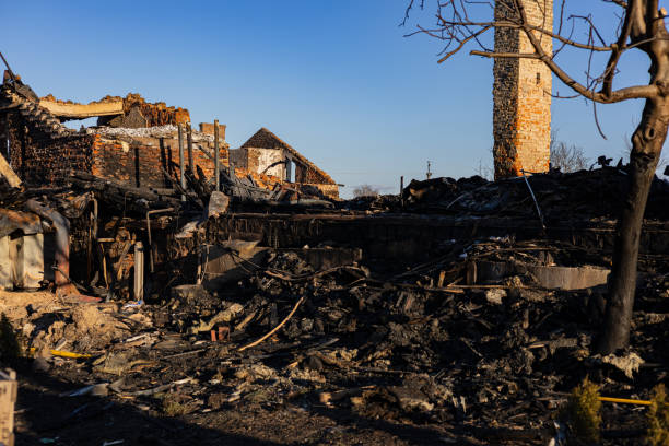 Reliable Content Restoration contractor in Black Diamond, FL by Fire Damage Doption