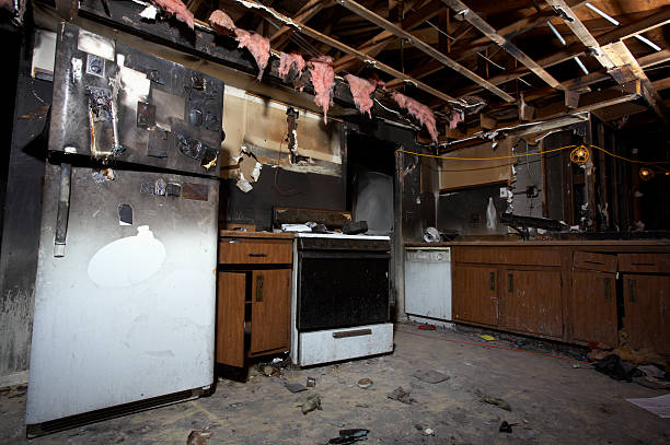 Licensed Content Restoration service in Black Diamond, FL - Fire Damage Doption